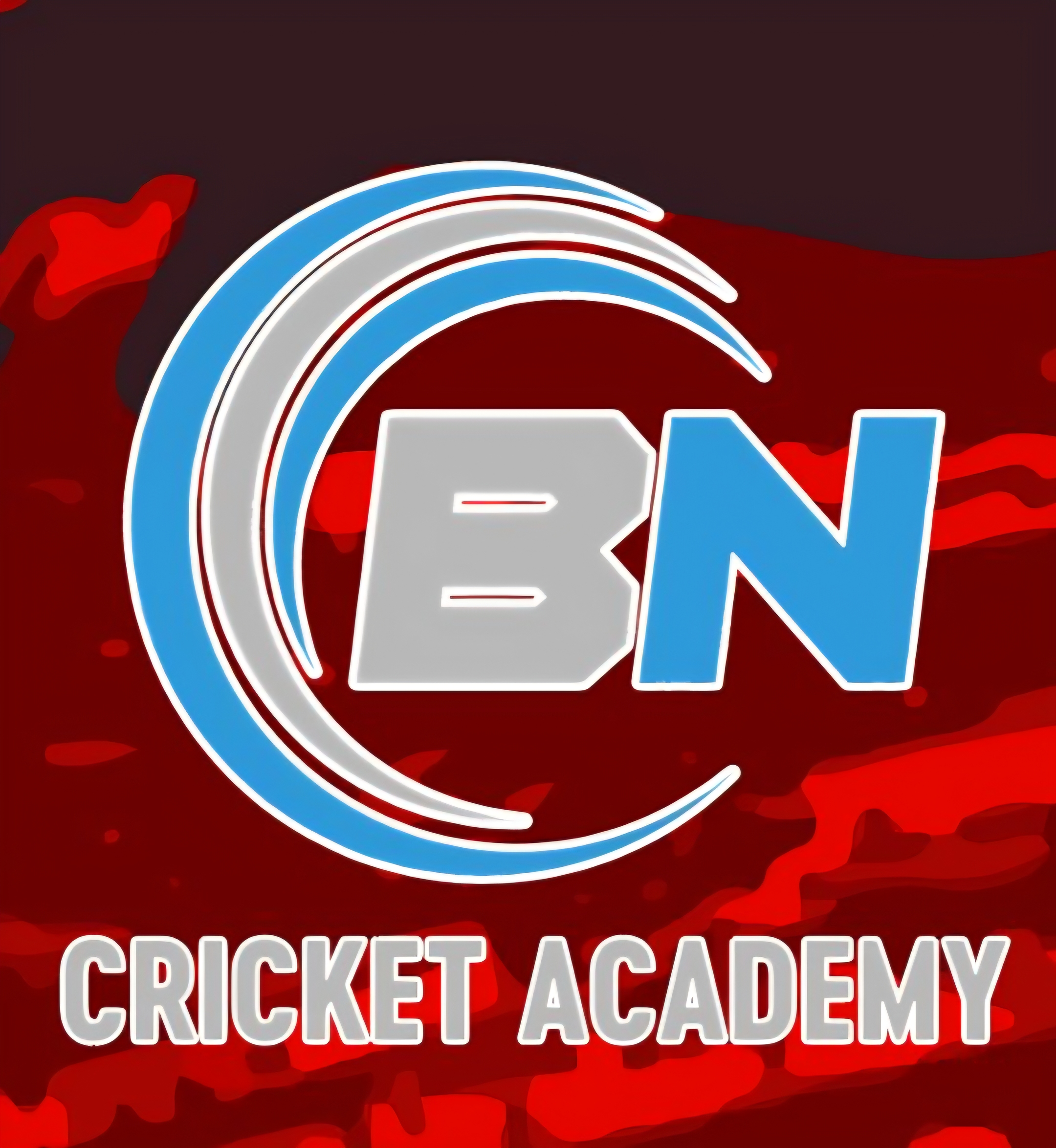 BN Cricket Academy Chennai - Practice Session